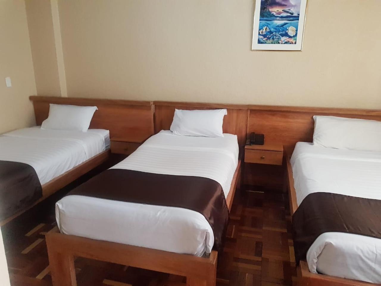 Hostal Loro Verde Quito Extérieur photo